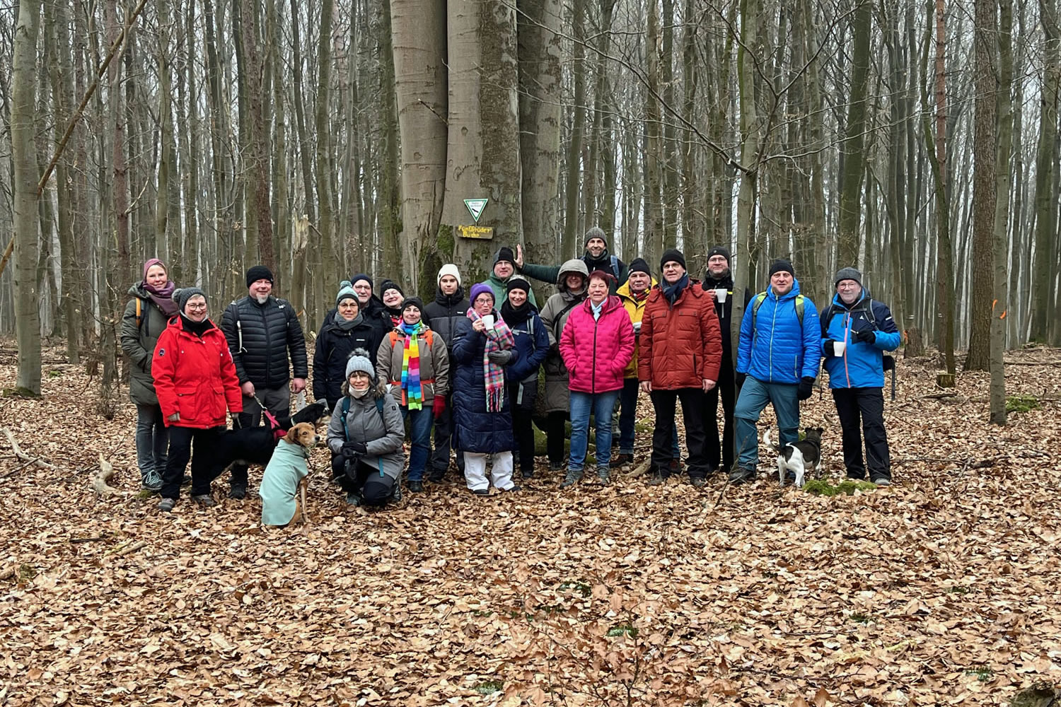 Monatswanderung Januar 2026