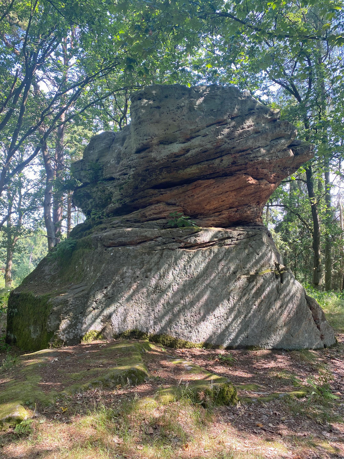 Monatswanderung Juli 2026