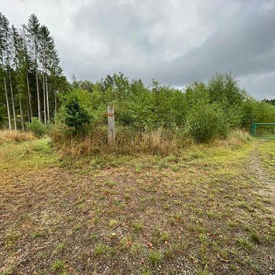 Aufräumarbeiten bei der Elbequelle