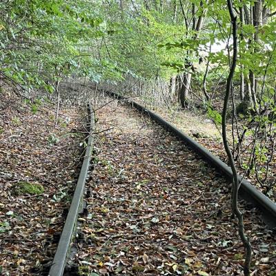 Monatswanderung September