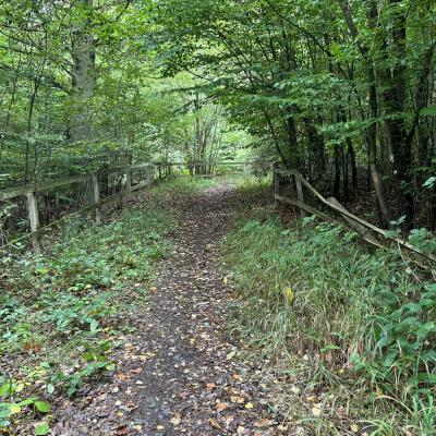 Monatswanderung September