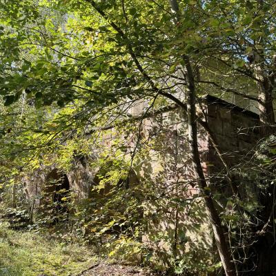 Monatswanderung September