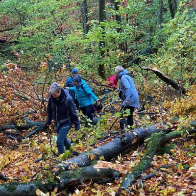 Monatswanderung Oktober der Wanderfreunde Naumburg