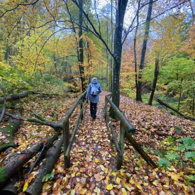 Monatswanderung Oktober der Wanderfreunde Naumburg