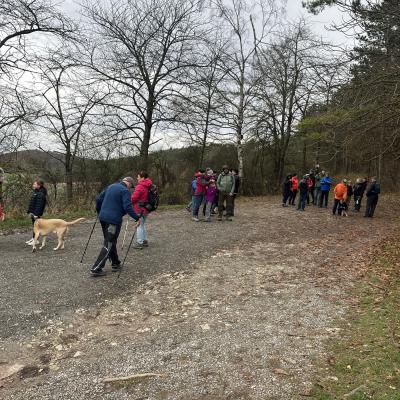 Monatswanderung November