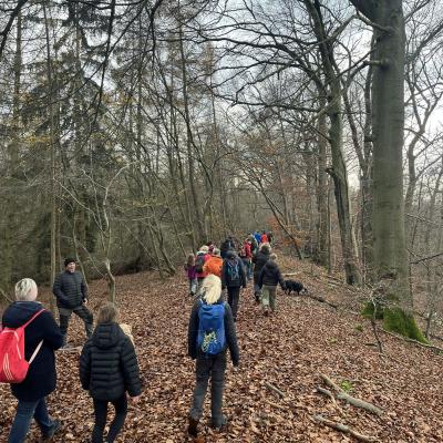 Monatswanderung November