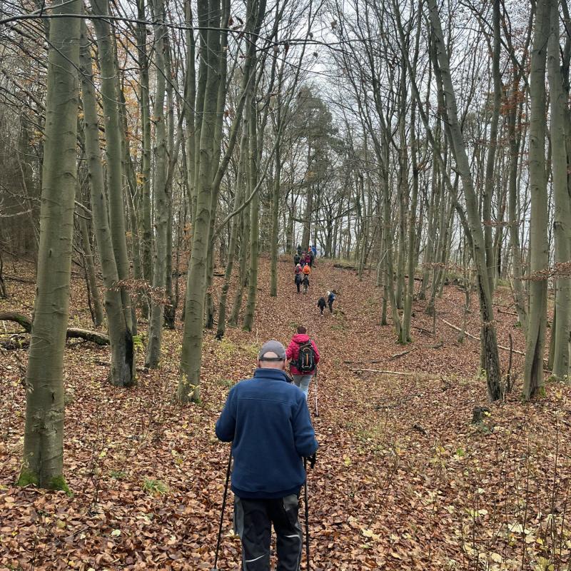 Monatswanderung November