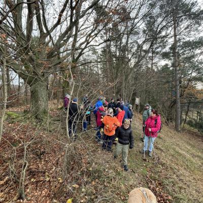 Monatswanderung November