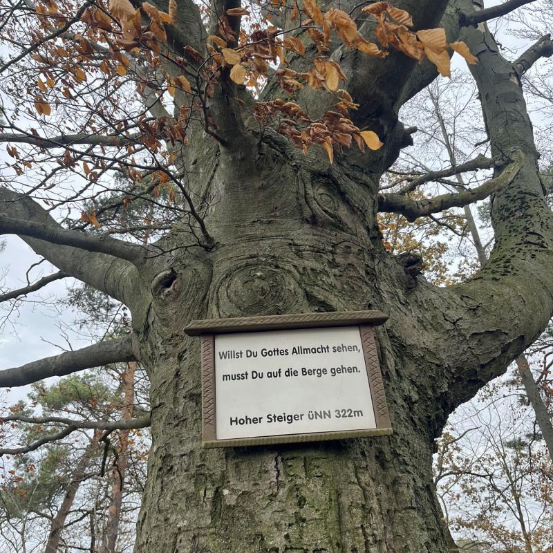 Monatswanderung November