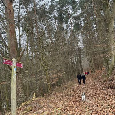 Monatswanderung Januar 2026 der Wanderfreunde Naumburg