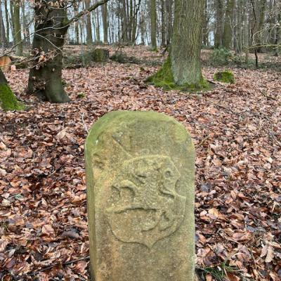 Monatswanderung Februar 2026 der Wanderfreunde Naumburg