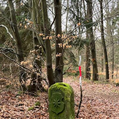 Monatswanderung Februar 2026 der Wanderfreunde Naumburg