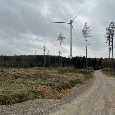 Monatswanderung März 2025