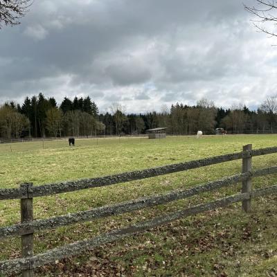 Monatswanderung März 2025