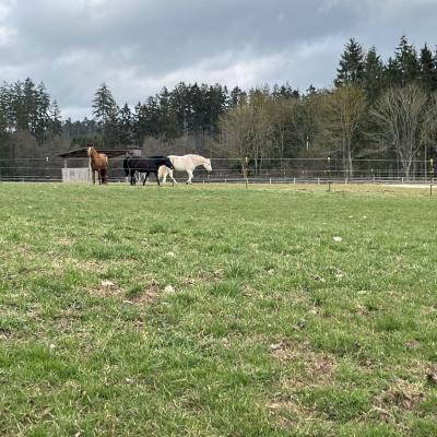 Monatswanderung März 2025