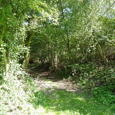 Naumburger Wanderwege