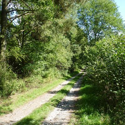 Naumburger Wanderwege