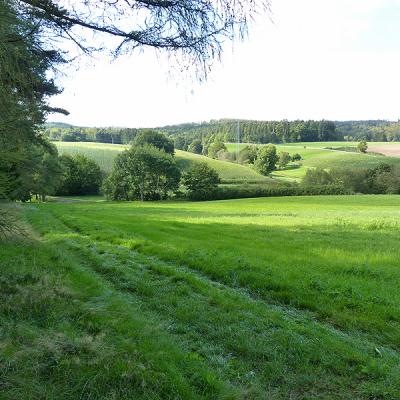 Naumburger Wanderwege