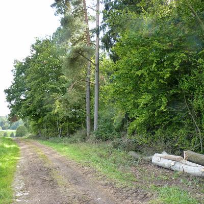 Naumburger Wanderwege