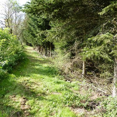 Naumburger Wanderwege