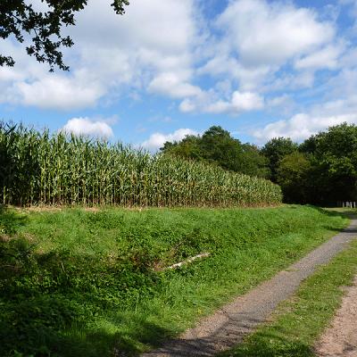 Naumburger Wanderwege