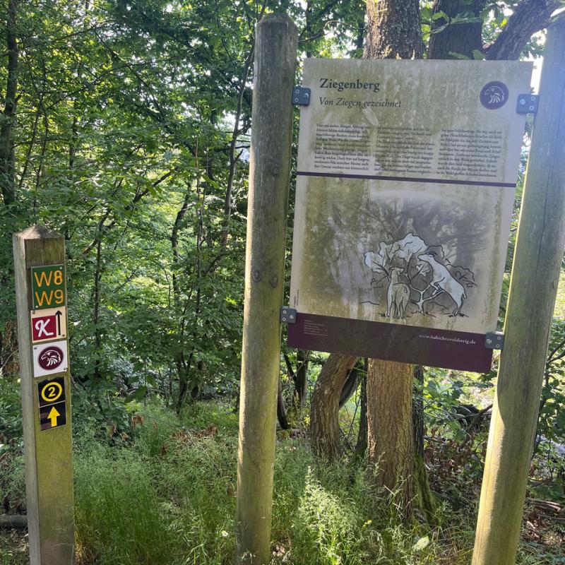 Monatswanderung Mai 2024