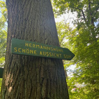 Monatswanderung Mai 2024