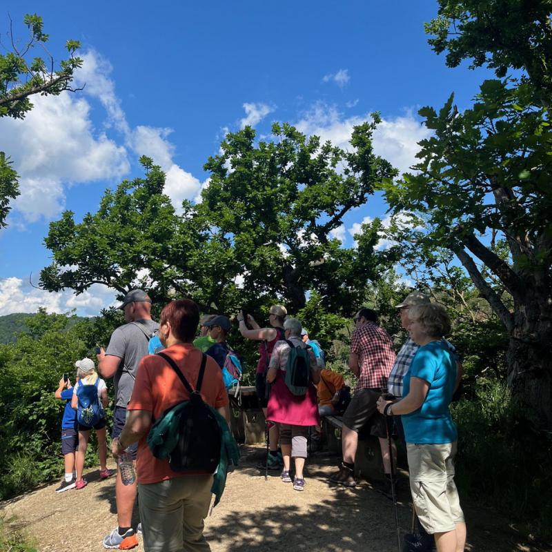 Monatswanderung Mai 2024