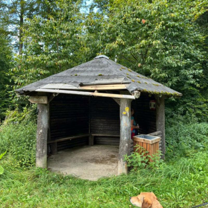 Monatswanderung August