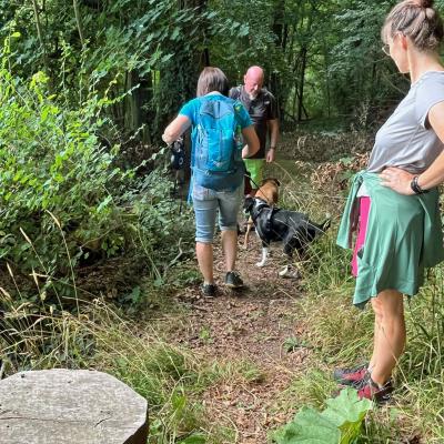 Monatswanderung August