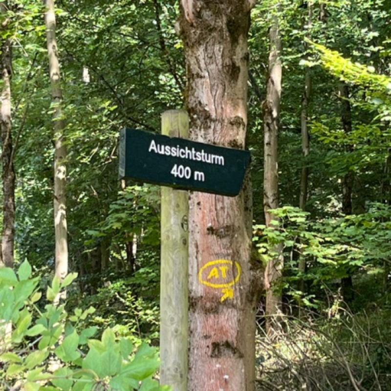 Monatswanderung August