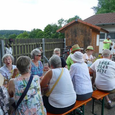 Sommerfest 2025 auf dem Naumburger Sportplatz