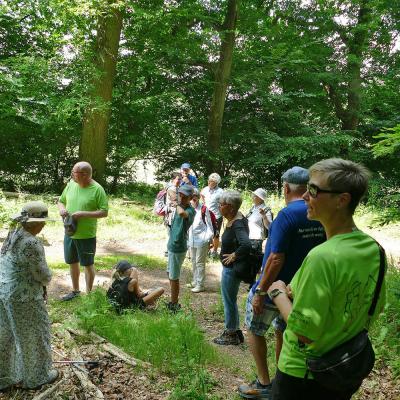 Sommerfest 2025 Wanderung im Hattenhausener Wald