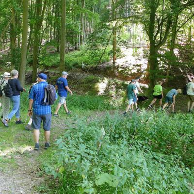 Sommerfest 2025 Wanderung im Hattenhausener Wald