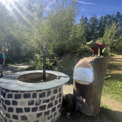 Tagesausflug in Willingen der Wanderfreunde Naumburg