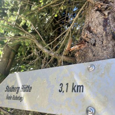 Tagesausflug in Willingen der Wanderfreunde Naumburg