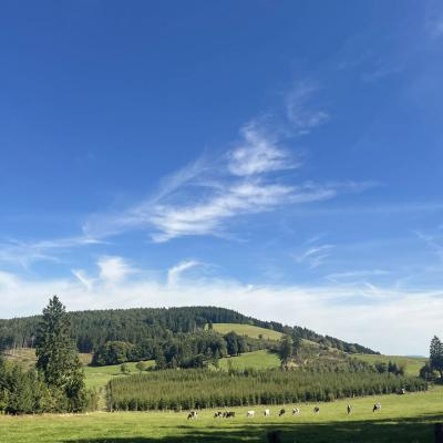 Tagesausflug in Willingen der Wanderfreunde Naumburg
