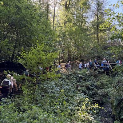 Tagesfahrt nach Eisenach der Wanderfreunde Naumburg 2026