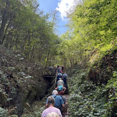 Tagesfahrt nach Eisenach der Wanderfreunde Naumburg 2026