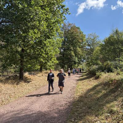 Tagesfahrt nach Eisenach der Wanderfreunde Naumburg 2026