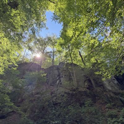 Tagesfahrt nach Eisenach der Wanderfreunde Naumburg 2026