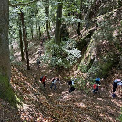 Tagesfahrt nach Eisenach der Wanderfreunde Naumburg 2026