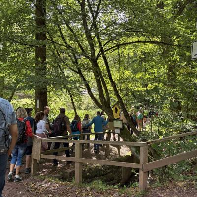 Tagesfahrt nach Eisenach der Wanderfreunde Naumburg 2026