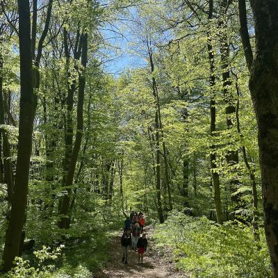 Monatswanderung April 2025