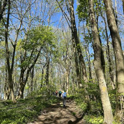 Monatswanderung April 2025