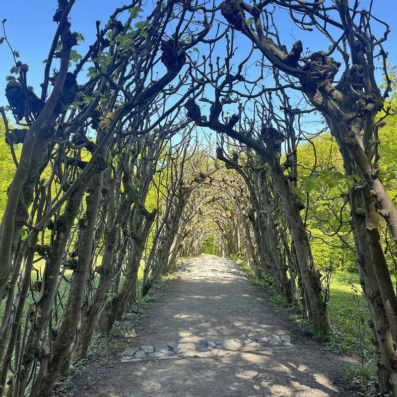 Monatswanderung April 2025