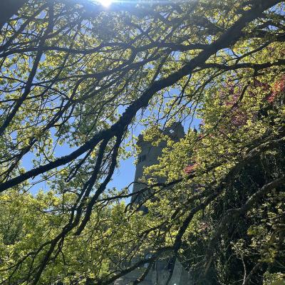 Monatswanderung April 2025