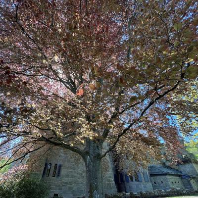 Monatswanderung April 2025