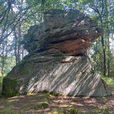 Monatswanderung Juli 2026 der Wanderfreunde Naumburg